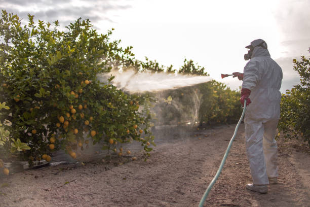 Pest Prevention Services in Newtown, PA